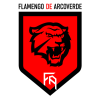 flamengo arcoverde flamengo arcoverde