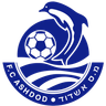 Ashdod FC U19