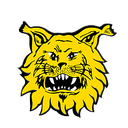 Ilves Youth