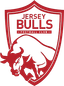 Banteng Jersey