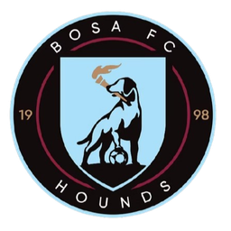 بوسا