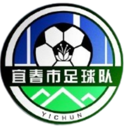 Yichun Team