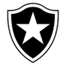 Botafogo RJ (Pemuda)