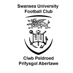 جامعة سوانسي