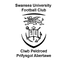جامعة سوانسي