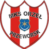 Orzel Przeworsk