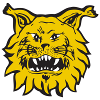 Ilves Tampere U20
