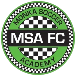 Bidhannagar MSA