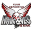 CD Halcones de Rayon