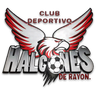 CD Halcones de Rayon