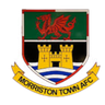 Morriston Town
