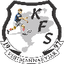 فيستماناييجارKFS
