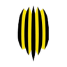 Rukh Vynnyky