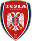 Tesla Burger
