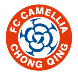 Chongqing Dikai Chongqing Dikai