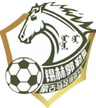 Xilin Gol Mongolian Horse U13