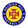 Dulwich Hill U20