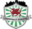 Olahraga di Caerphilly