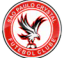 Sao Paulo Crystal
