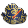 Sapporo University II