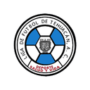 Liga Sepak Bola Tehuacan