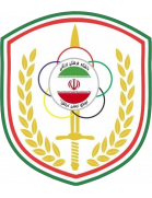 نيروي زاميني