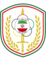 نيروي زاميني