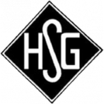 هولزهايمر سج