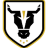 Bulls Academy