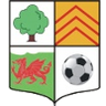 AFC Llwydcoed