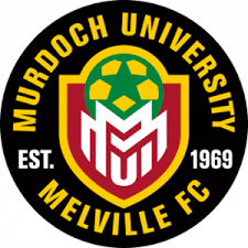 Universitas Murdoch