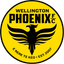 Wellington Phoenix Reserve