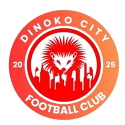 Dinoko City FC