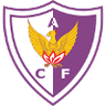 أتلتيكو فينيكس مونتيفيديو للسيدات