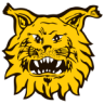 Ilves II Women
