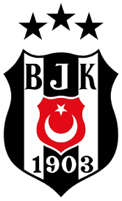 بشيكتاش تحت 19