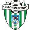 Slovan Bzenec