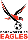 Cadangan Elang Edgeworth