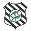 Figueirense SC Youth