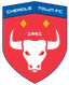 Cheadle Town Stingers (w)