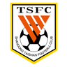 Shandong Taishan B