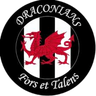 Cardiff Draconians FC