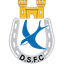 دجنانون سويفت