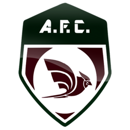 Flamengo de Arcoverde