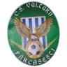 CS Vulturii Farcasesti