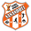 CS Sanandrei Timis