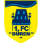 دورين