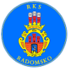RKS Radomsko