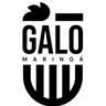 Galo Maringa