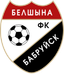 Belshina Bobruisk